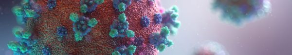 virus