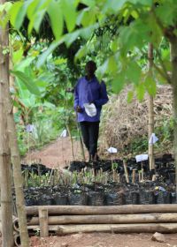 Eval Rdc Juin 2020