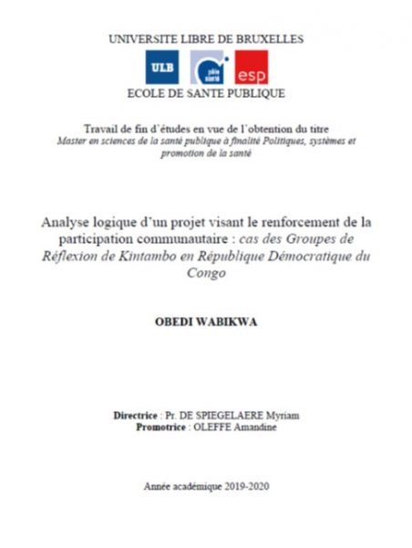 Analyse logique d'un projet visant le renforcement de la participation communautaire