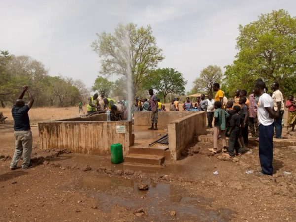 Forage Burkina