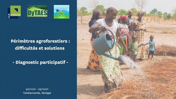 Atelier Agroforestier Sénégal