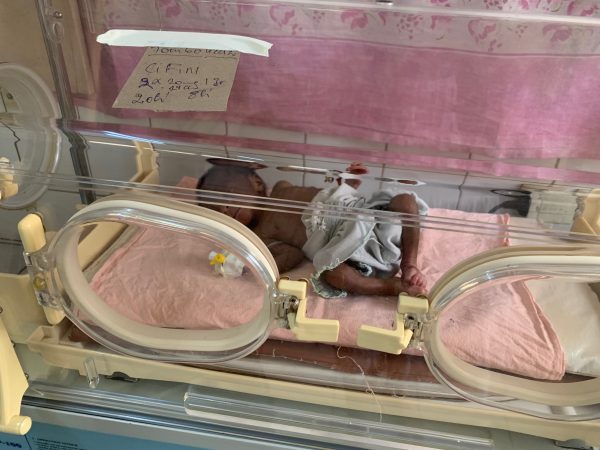 Néo Nat Bébé Seul