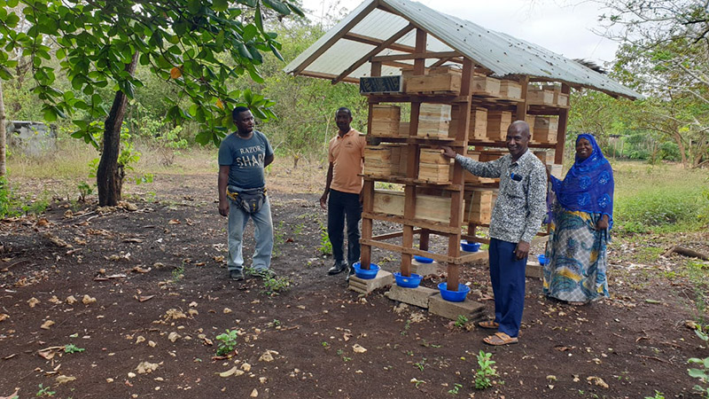 Fabrication De Ruches Burkina Faso