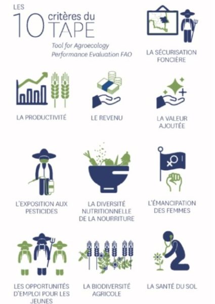 Outil Tape Fao