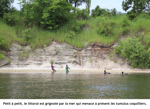 Petit à petit, le littoral est grignoté par la mer qui menace à présent les tumulus coquilliers.