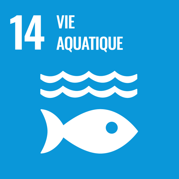 F Web Goal 14