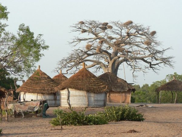 Image1