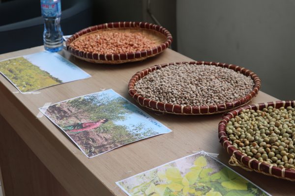 ULB-Coopération_Atelier Evaluatif SAD 3